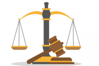 Overview on Organization and Establishment of Specialized IP Court in Vietnam